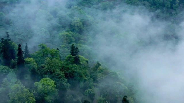 攀登之旅：从"这哪是爬山"到"拿下黄山"的壮丽征途